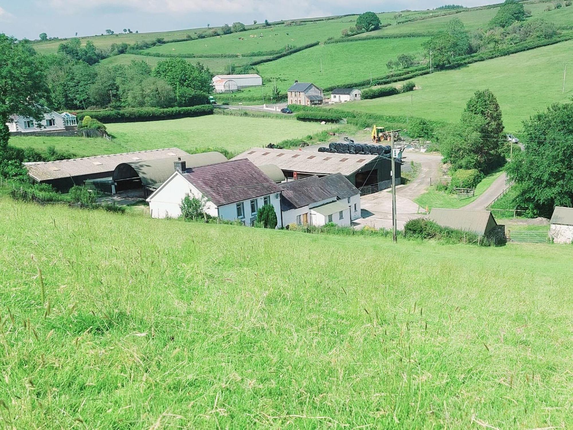 Typicca Farmhouse Brechfa Екстер'єр фото